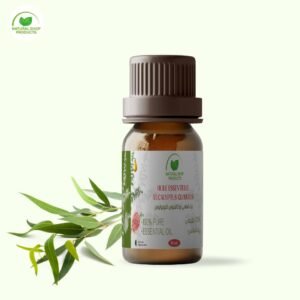 Huile Essentielle d'Eucalyptus Globulus 10ml