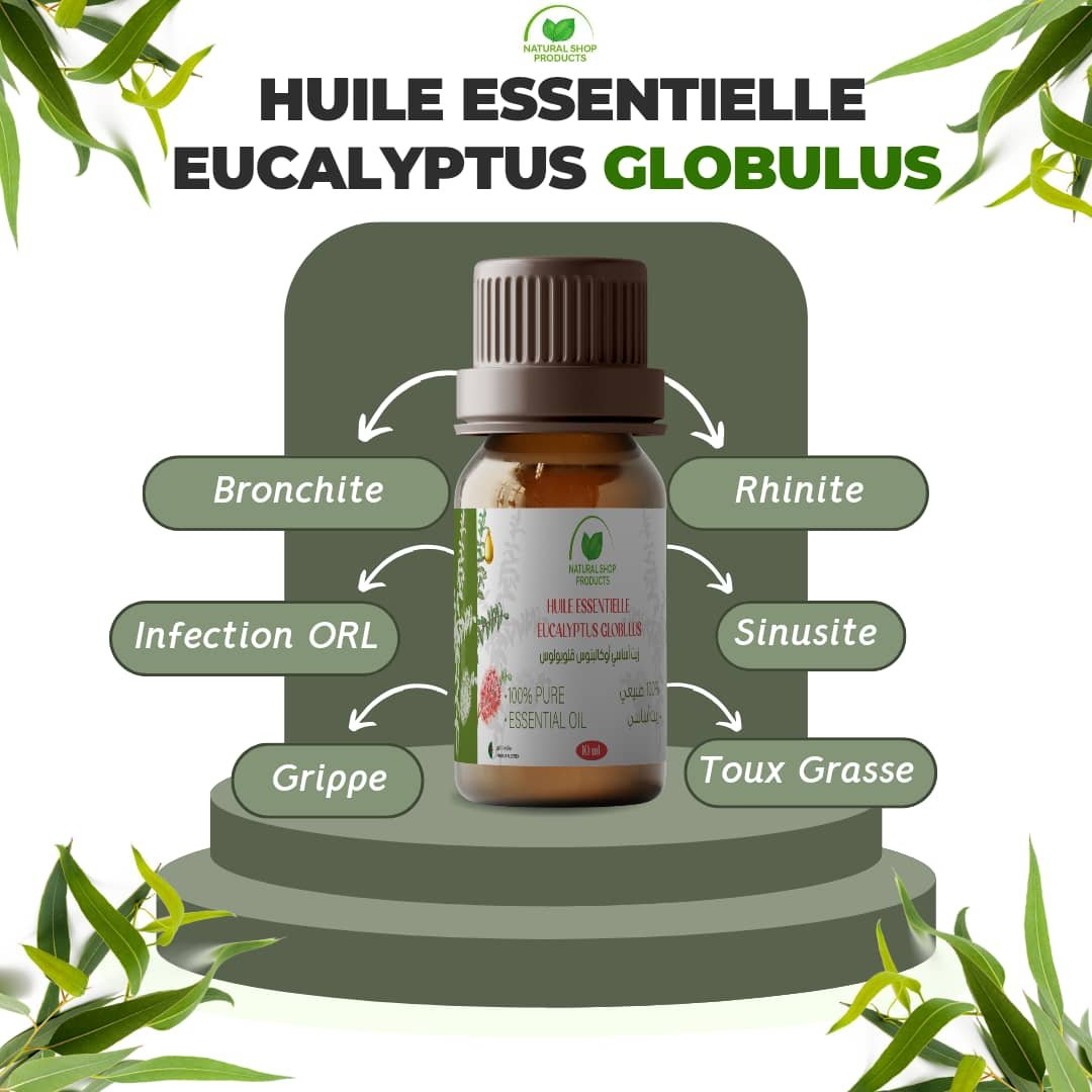 Huile Essentielle d'Eucalyptus Globulus 10ml – Image 2