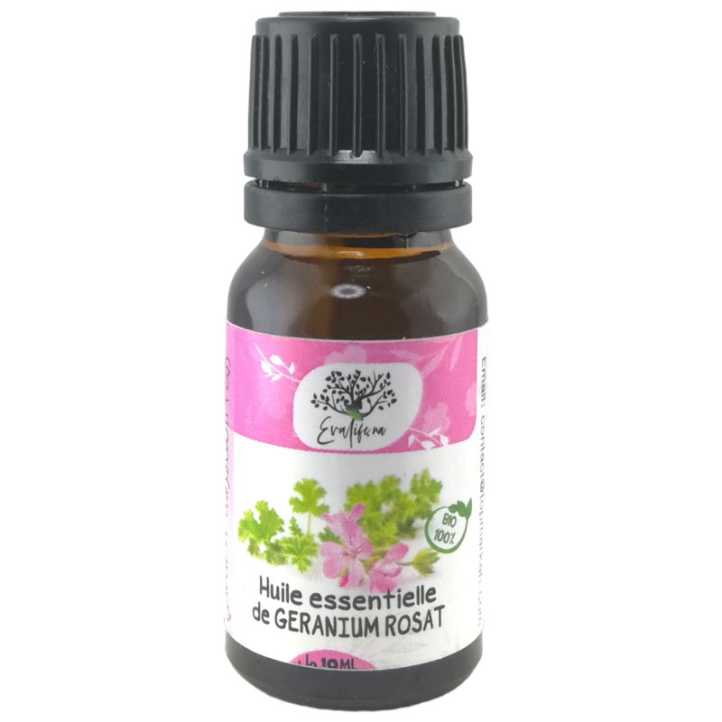 Huile Essentielle de Géranium 100% pure et naturelle 10ml – Image 5