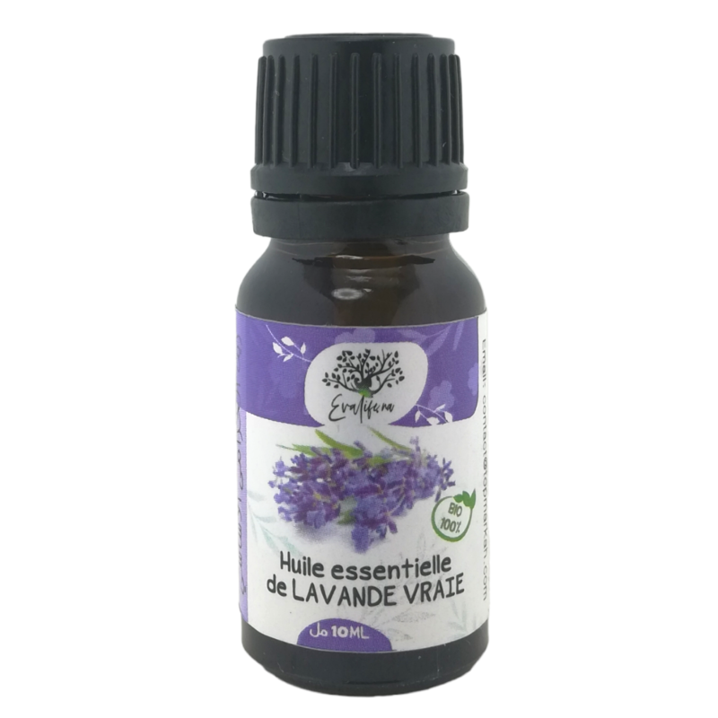 Huile Essentielle de Lavande Vraie 100% pure et naturelle 10ml – Image 3