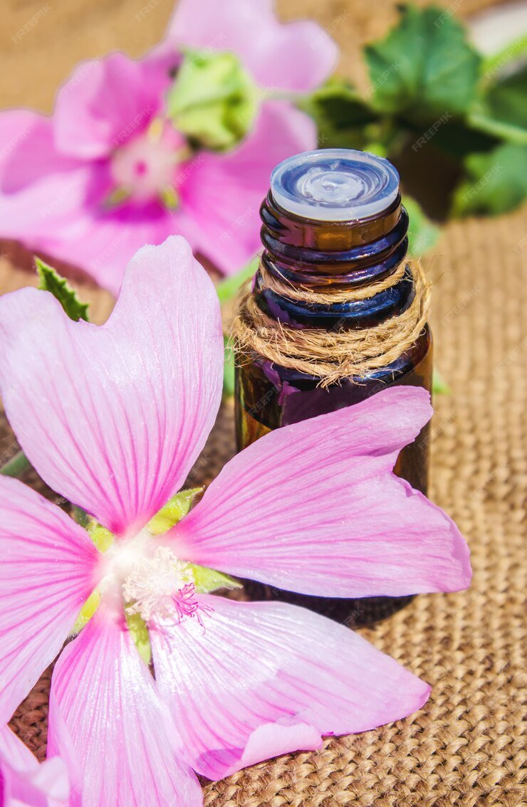 Huile Essentielle de Géranium 100% pure et naturelle 10ml – Image 2